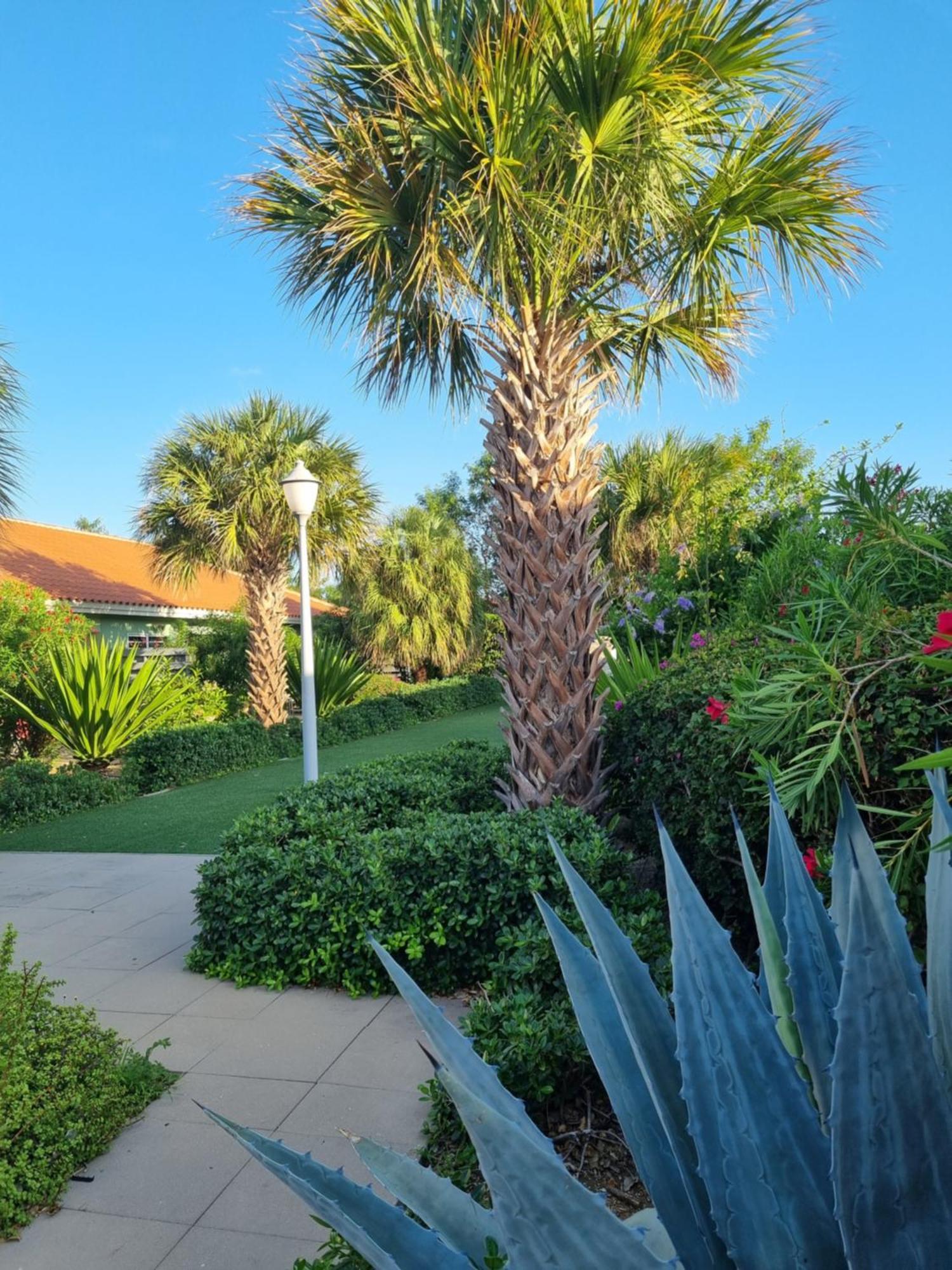 Blije Rust Apartment Blue Bay Bagian luar foto